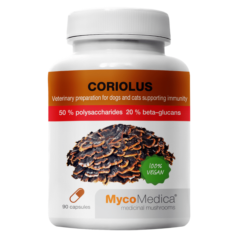 Coriolus 50% polisacharydów MycoMedica - Wrośniak wielobarwny - 90 kapsułek