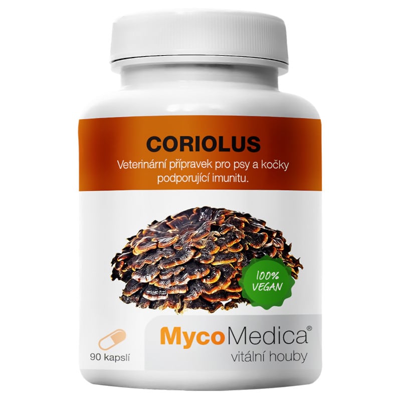 Coriolus Wrośniak różnobarwny MycoMedica 500 mg - Grzyb wspierający odporność - 90 kapsułek