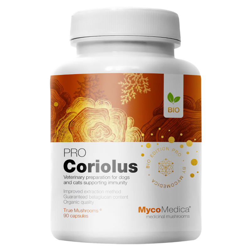 Coriolus PRO 35% MycoMedica - Wrośniak różnobarwny - 90 kapsułki