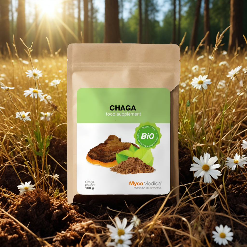 Chaga BIO MycoMedica Grzyby w proszku - Wspiera układ trawienny - 100 g
