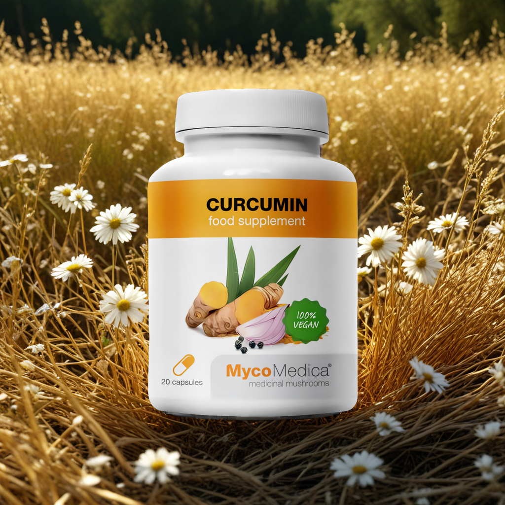Curcumin MycoMedica - Wspomaga pracę wątroby - 120 kapsułek