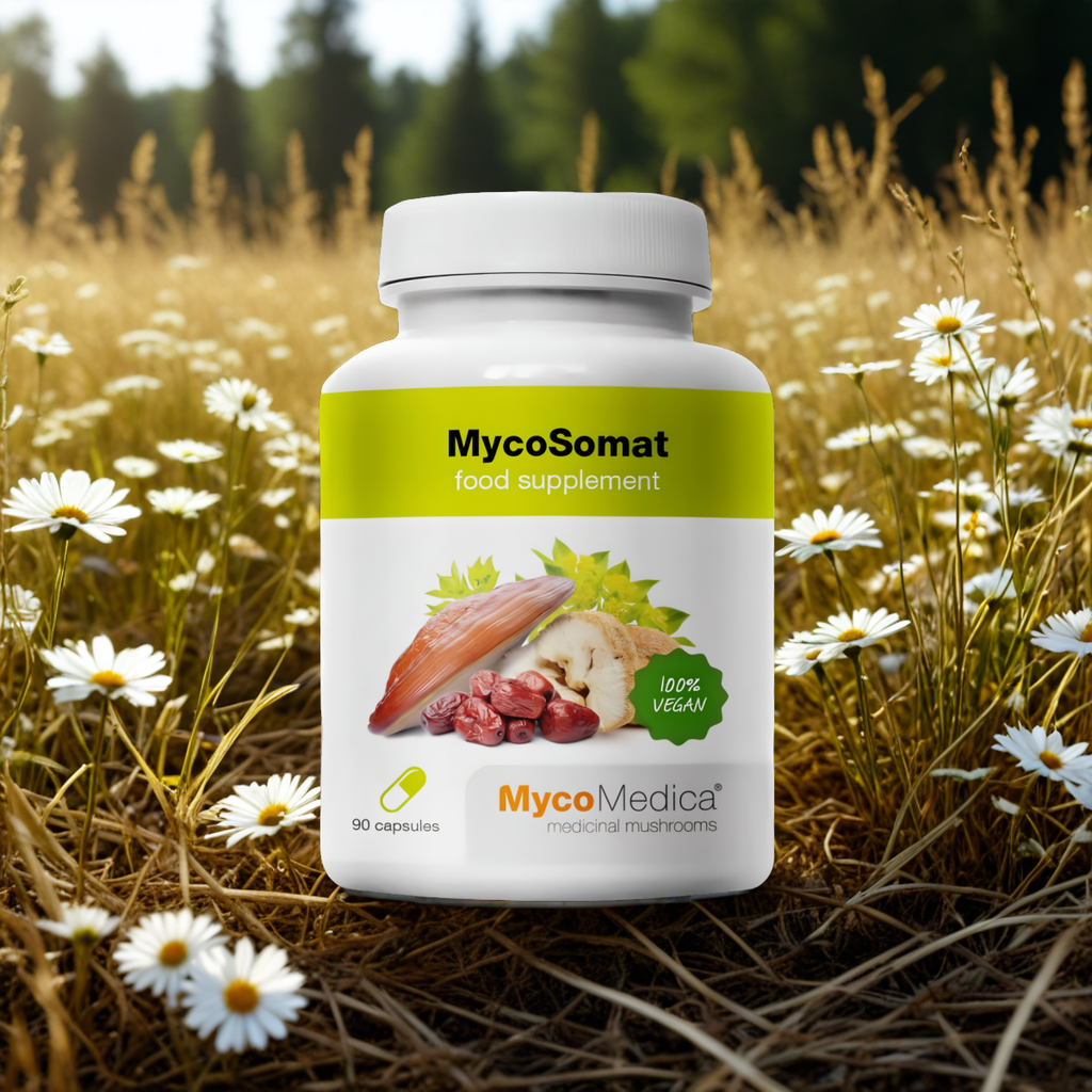 MycoSomat MycoMedica - Pomaga przywrócić równowagę wewnętrzną - 90 kapsułek