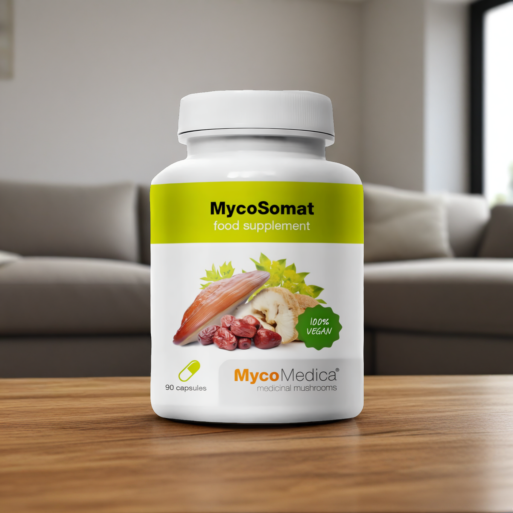 MycoSomat MycoMedica - Pomaga przywrócić równowagę wewnętrzną - 90 kapsułek