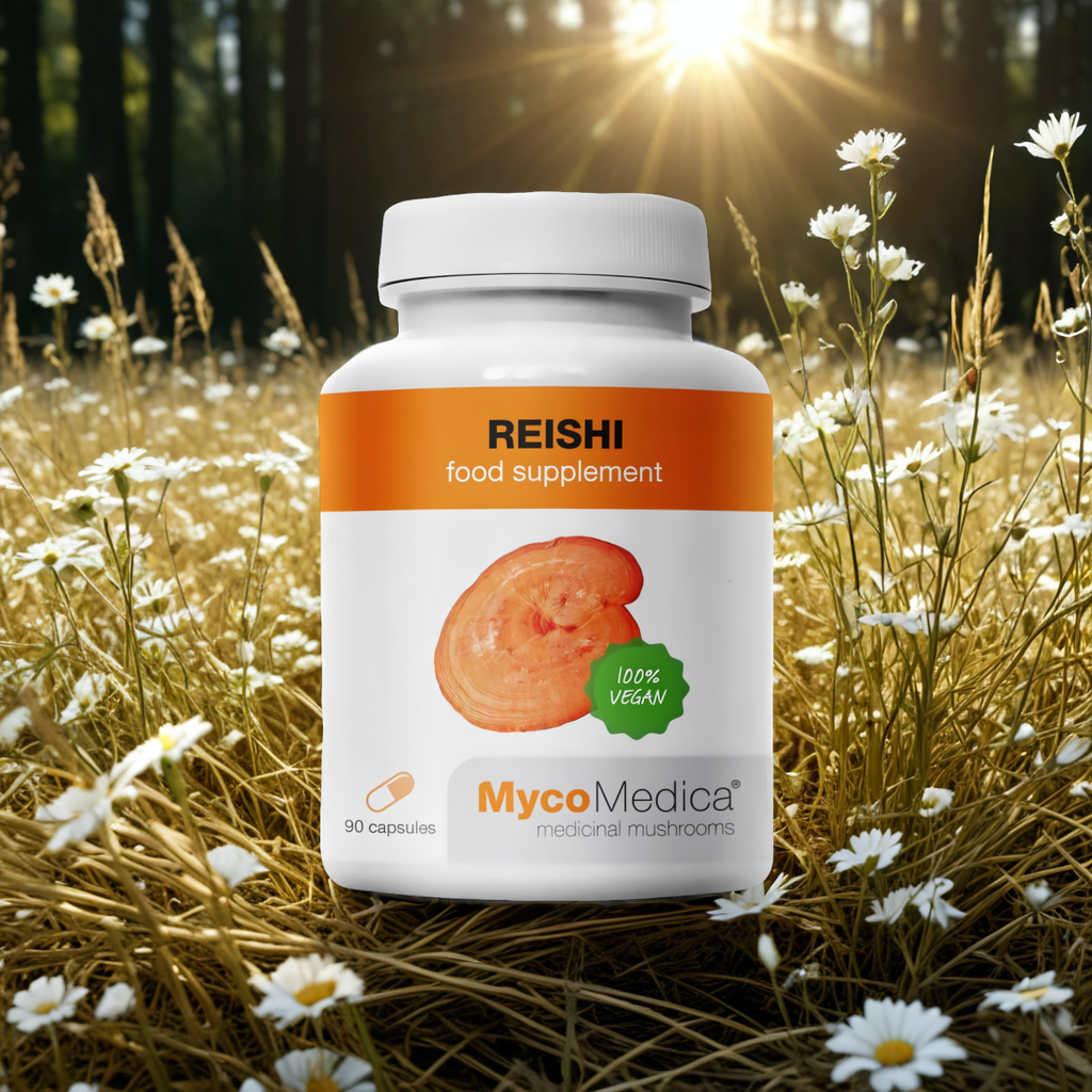 Reishi Boski grzyb nieśmiertelności MycoMedica 30% polisacharydów 500 mg - 90 kapsułek
