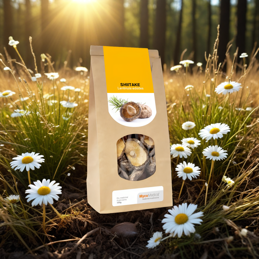 Shiitake Grzyby suszone MycoMedica - Wspomaga układ odpornościowy - 100 g